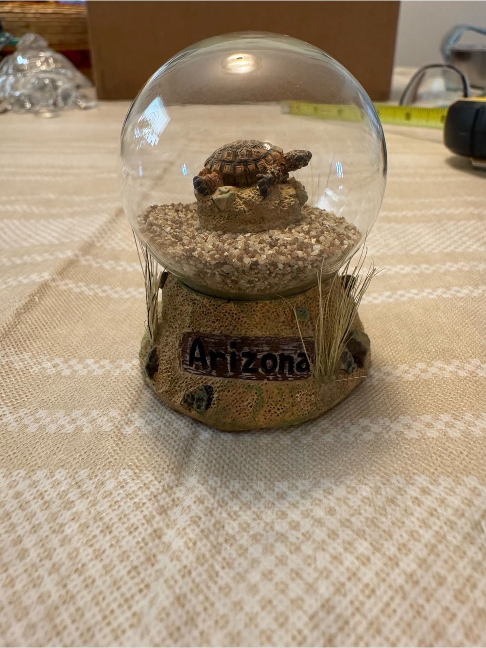 Arizona Tortoise sand globe